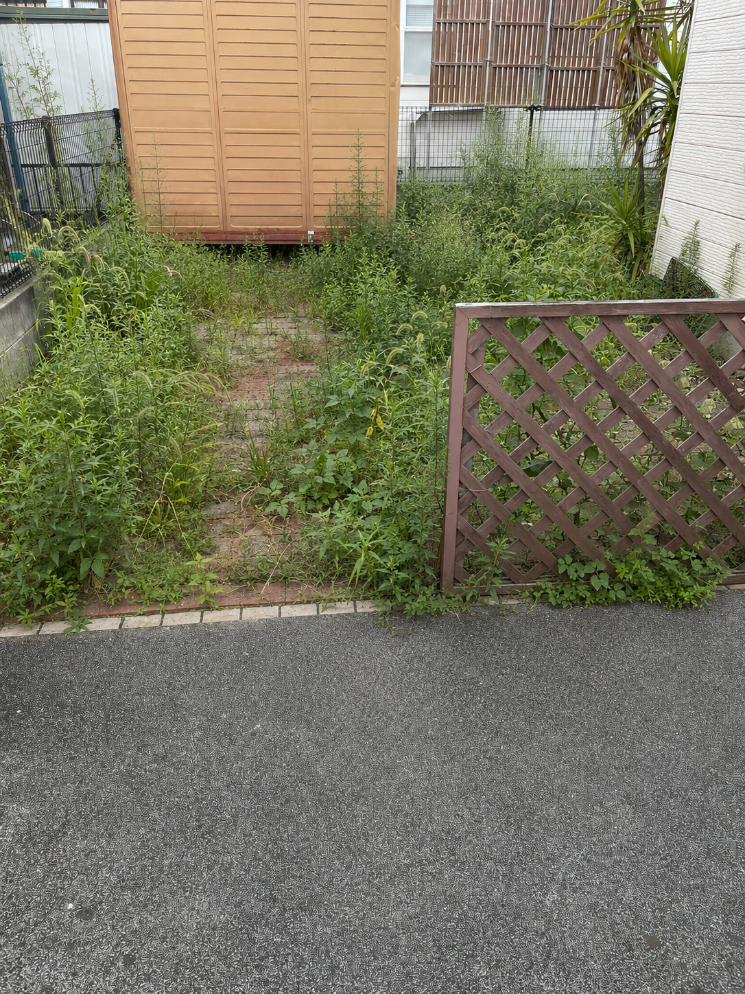 雑草が伸びた空き家の作業前イメージ